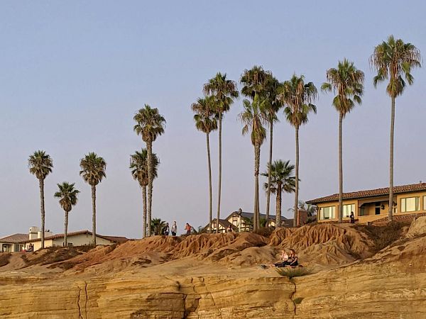 Palm trees line a rocky cliff by the coast with a house in the background, under a clear blue sky.