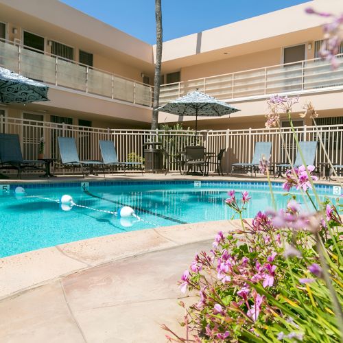 A hotel pool area with blue water, lounge chairs, umbrellas, a sunlit courtyard, and pink flowers in the foreground, surrounded by beige buildings.